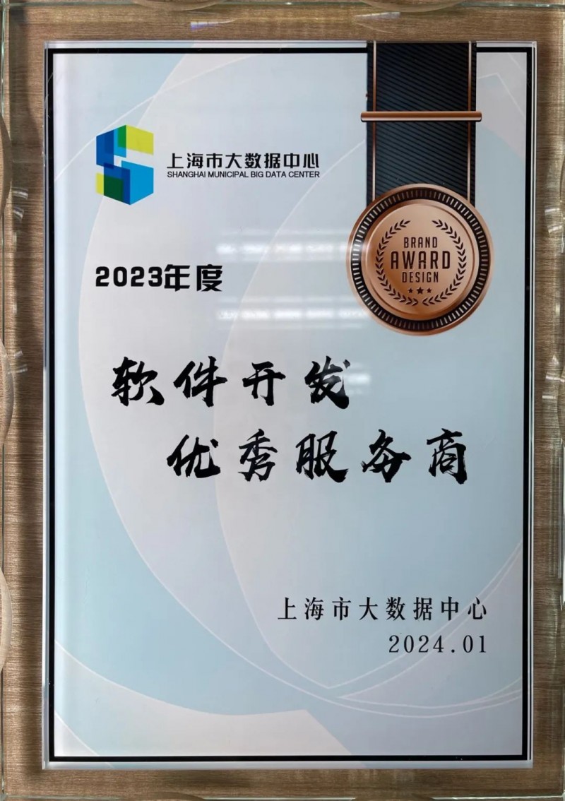 上海软件开发行业的发展动态